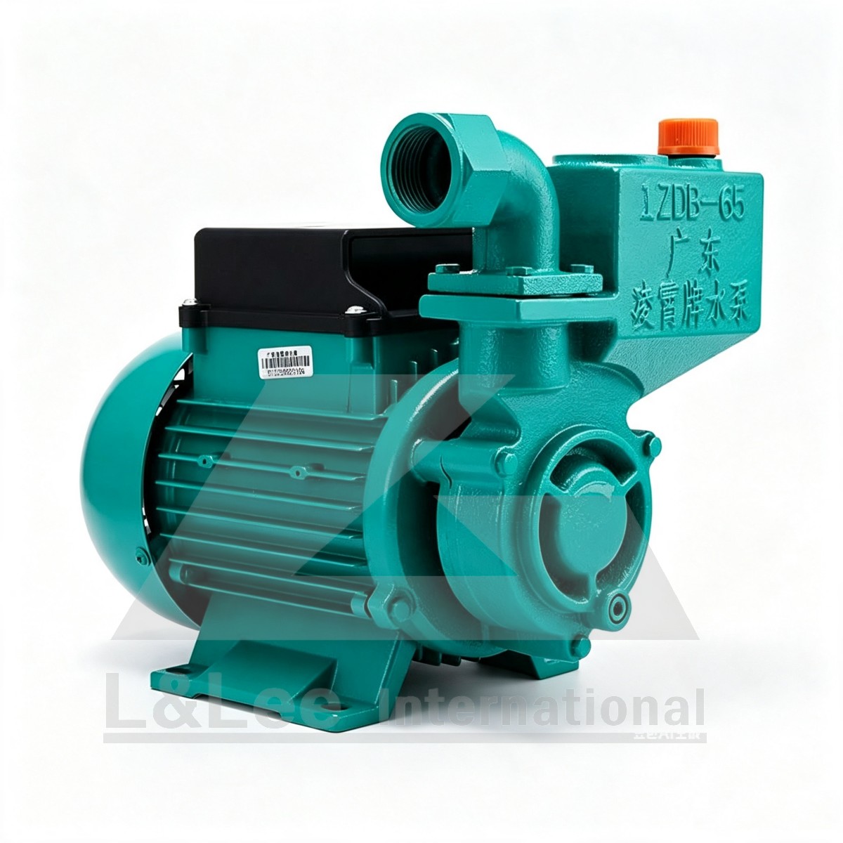 1ZDB35 Self-Priming Water Pump d1