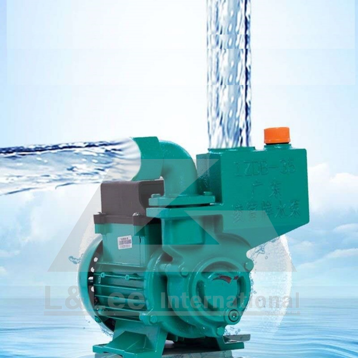 1ZDB35 Self-Priming Water Pump d1