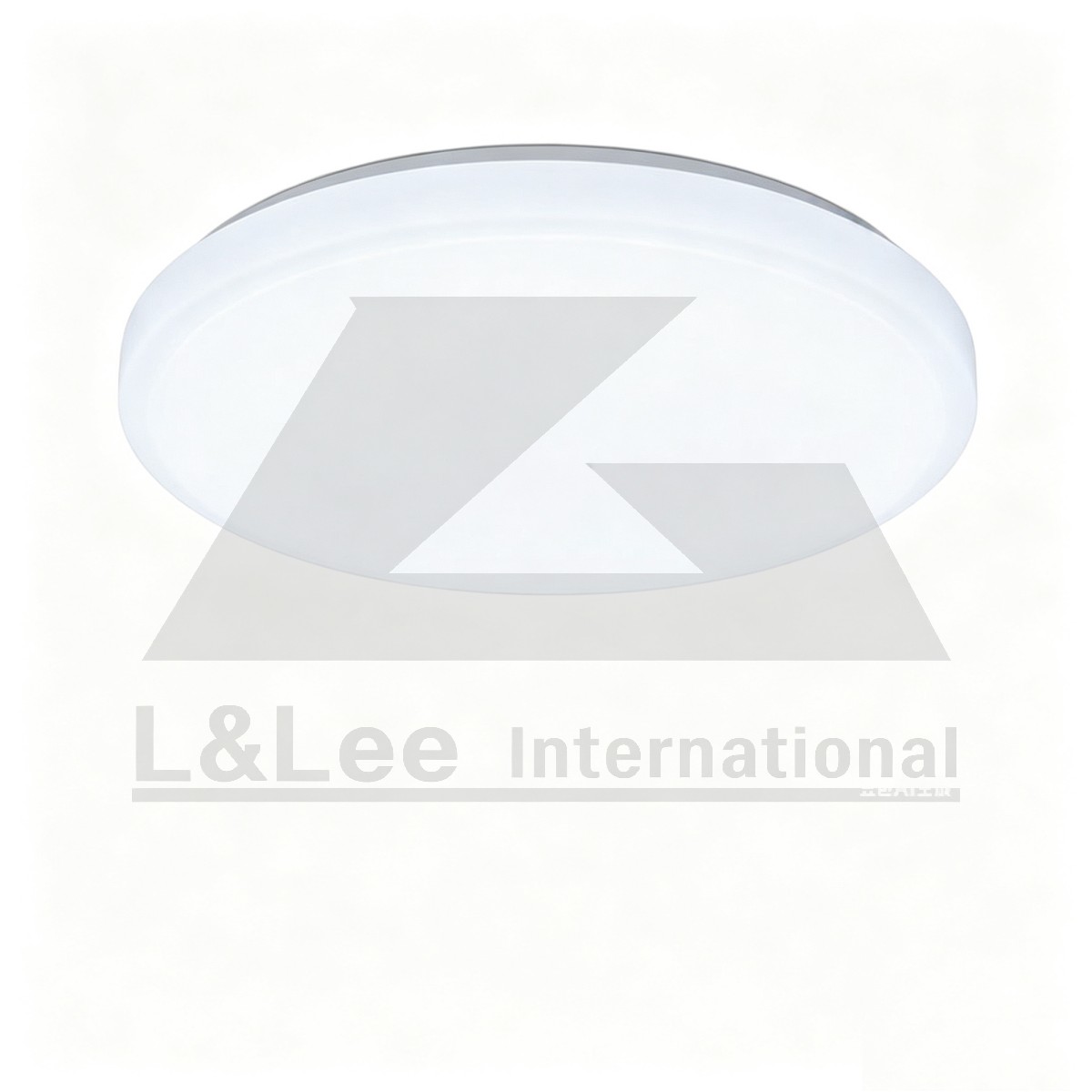 LED Ceiling Light