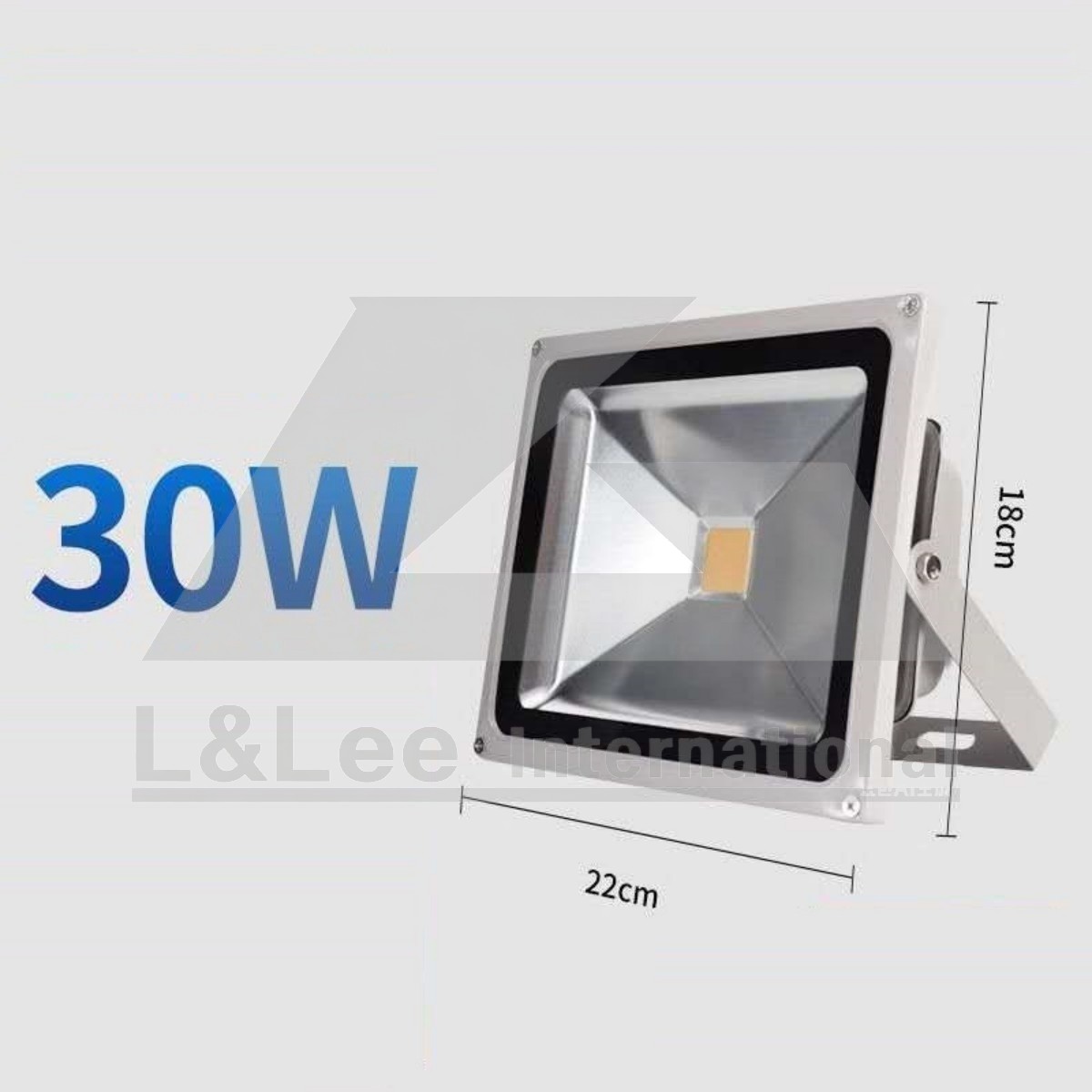 LED Flood Light